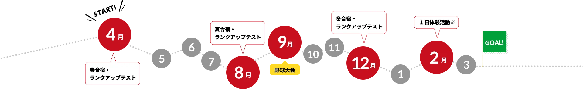 スケジュール